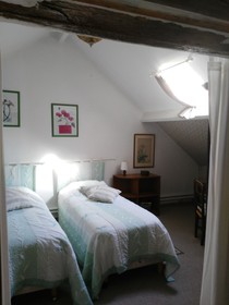 Les Camelias Des Demoiselles De Pallus