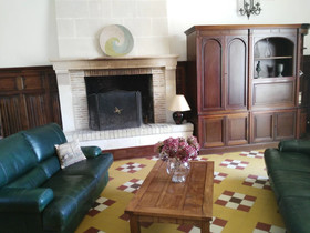 Les Camelias Des Demoiselles De Pallus