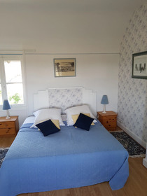 Les Camelias Des Demoiselles De Pallus