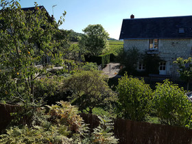 Les Camelias Des Demoiselles De Pallus