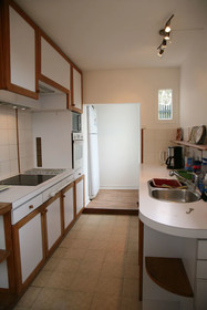 Les Camelias Des Demoiselles De Pallus