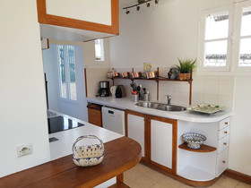 Les Camelias Des Demoiselles De Pallus