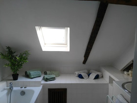 Les Camelias Des Demoiselles De Pallus