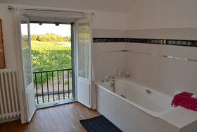 Les Camelias Des Demoiselles De Pallus