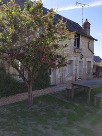 Les Camelias Des Demoiselles De Pallus