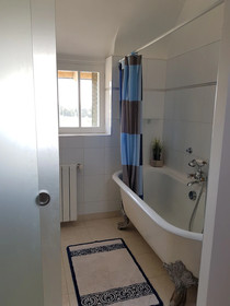 Les Camelias Des Demoiselles De Pallus