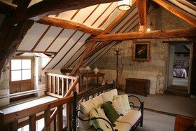 Les Camelias Des Demoiselles De Pallus