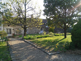 Les Camelias Des Demoiselles De Pallus