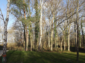 La Haute Bédinière