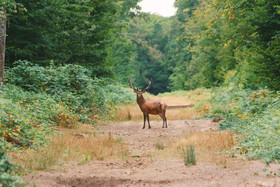 Loire Valley Lodges Hotel