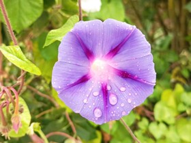 Chambre D'hotes Les Paturelles