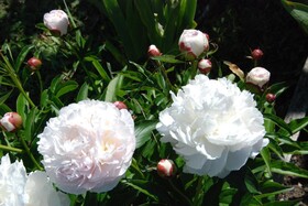 Chambre D'hotes Les Paturelles
