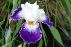Chambre D'hotes Les Paturelles