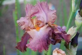 Chambre D'hotes Les Paturelles