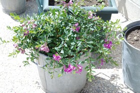 Chambre D'hotes Les Paturelles