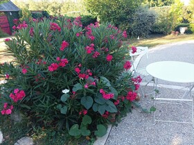 Chambre D'hotes Les Paturelles