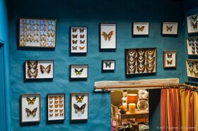 Jardins Haute Couture