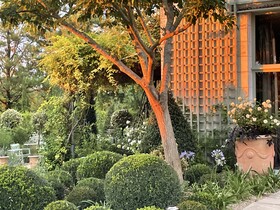 Jardins Haute Couture