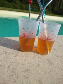 Domaine De La Vaudouriere