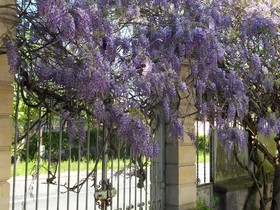 Château de la Motte