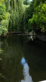 Le Rivage