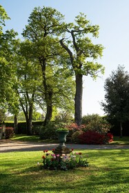 Château Haute Roche