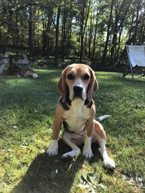 Domaine De La Juranvillerie