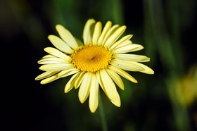 Domaine De La Juranvillerie