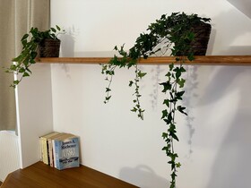 Domaine De Couilleuse