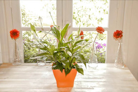 Le Cottage Des Sablons