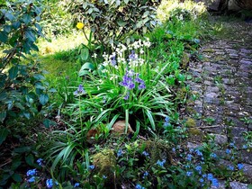 Chambre D'hôtes La Maison Des Tortues