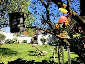 Chambre D'hôtes La Maison Des Tortues
