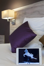 Brit Hotel Saumur