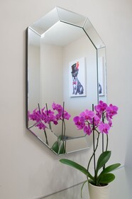 Les Orchidees La Marine