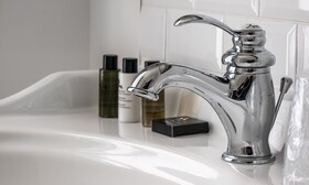 Les Orchidees La Marine