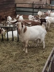 Les Chambres De La Belle Etoile