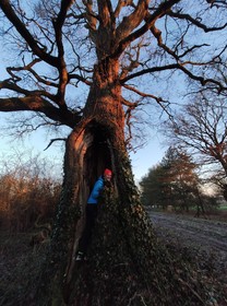 Les Chambres De La Belle Etoile