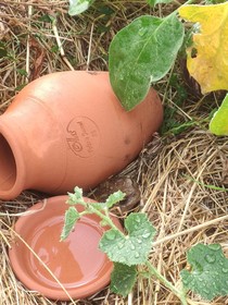 Les Chambres De La Belle Etoile