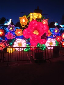 Les Chambres De La Belle Etoile