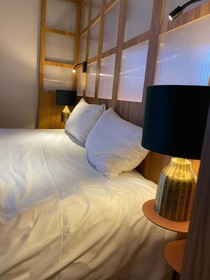 ibis Styles Saint Etienne Gare Châteaucreux
