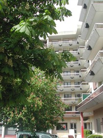 Les Palatines