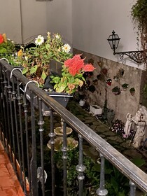 La Villa Rosa