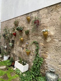 La Villa Rosa