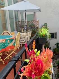 La Villa Rosa