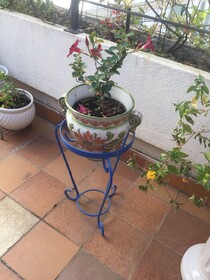 La Villa Rosa