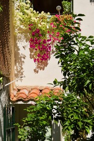 La Villa Rosa