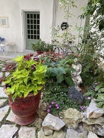 La Villa Rosa