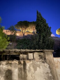 La Villa Rosa