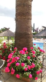 Brit Hotel Confort Helios Agde