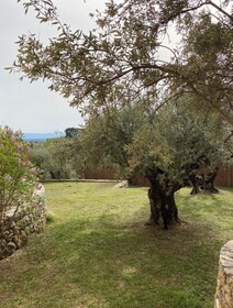 La Joseline
